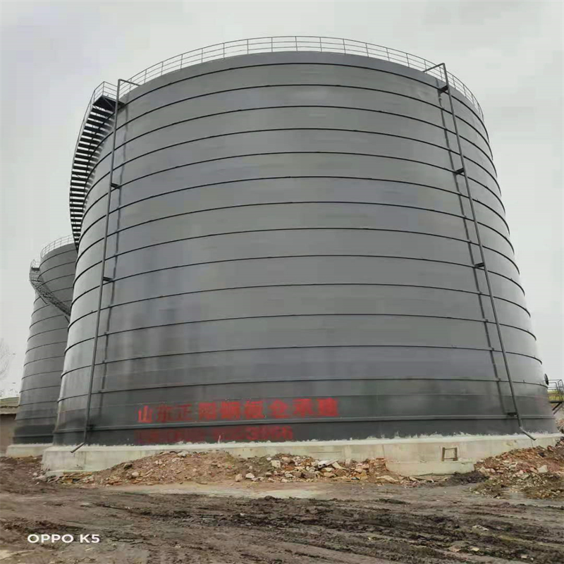 琼中3万吨大型钢板库